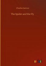 Spider and the Fly