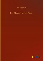 Mystery of M. Felix