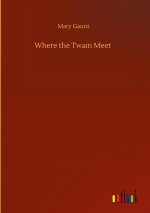 Where the Twain Meet