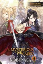 Mysterious Job Called Oda Nobunaga, Vol. 3 (light novel)