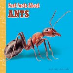 Fast Facts about Ants