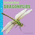 Fast Facts about Dragonflies