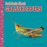 Fast Facts about Grasshoppers