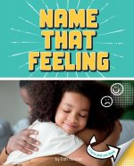 Name That Feeling: A Turn-And-See Book