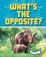 What's the Opposite?: A Turn-And-See Book