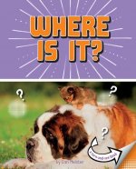 Where Is It?: A Turn-And-See Book