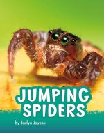 Jumping Spiders