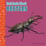 Fast Facts about Beetles