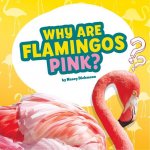 Why Are Flamingos Pink?: Answering Kids' Questions
