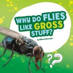 Why Do Flies Like Gross Stuff?: Answering Kids' Questions