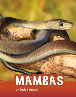 Mambas