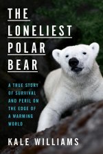 Loneliest Polar Bear