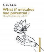 What if mistakes had potential ?