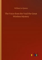 Voice from the Void the Great Wireless Mystery