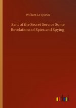 Sant of the Secret Service Some Revelations of Spies and Spying