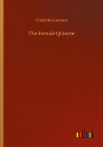 Female Quixote