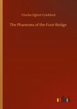 Phantoms of the Foot-Bridge