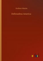 Defenseless America