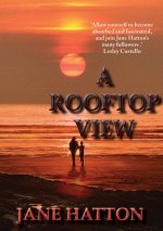 Rooftop View