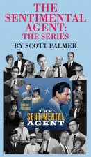 Sentimental Agent The Series
