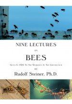 Nine Lectures on Bees