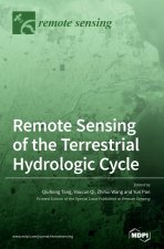Remote Sensing of the Terrestrial Hydrologic Cycle