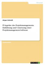 IT-Aspekte des Projektmanagements. Einführung und Umsetzung einer Projektmanagement-Software