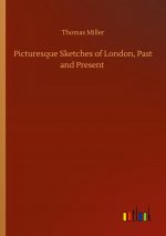 Picturesque Sketches of London, Past and Present