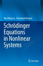Schroedinger Equations in Nonlinear Systems