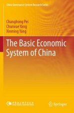 Basic Economic System of China