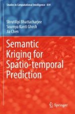 Semantic Kriging for Spatio-temporal Prediction