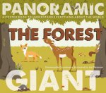 Forest: A Poster Book to Understand Everything about the World