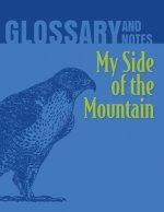 Glossary and Notes