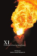 XI