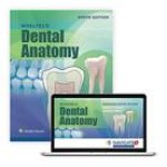 Woelfel's Dental Anatomy