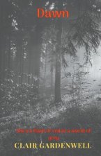 Dawn