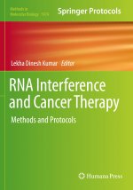RNA Interference and Cancer Therapy