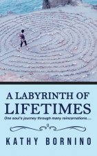 Labyrinth of Lifetimes