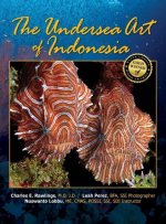 Undersea Art of Indonesia