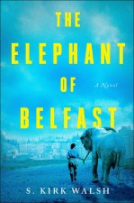 Elephant Of Belfast