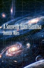 Souvenir From Elanthia