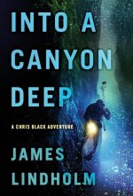 Into A Canyon Deep
