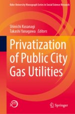 Privatization of Public City Gas Utilities