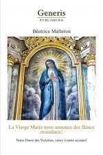 La Vierge Marie nous annonce des fléaux mondiaux!: Notre Dame des Victoires, venez ? notre secours!