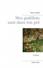 Mes godillots sont dans ton pre