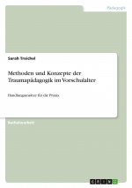 Methoden und Konzepte der Traumapädagogik im Vorschulalter