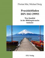 Praxisleitfaden DIN ISO 29993