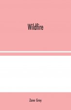 Wildfire