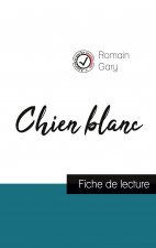 Chien blanc de Romain Gary (fiche de lecture et analyse complete de l'oeuvre)