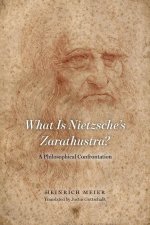 What is Nietzsche`s Zarathustra? - A Philosophical Confrontation